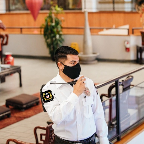 Professional Security Officer Training